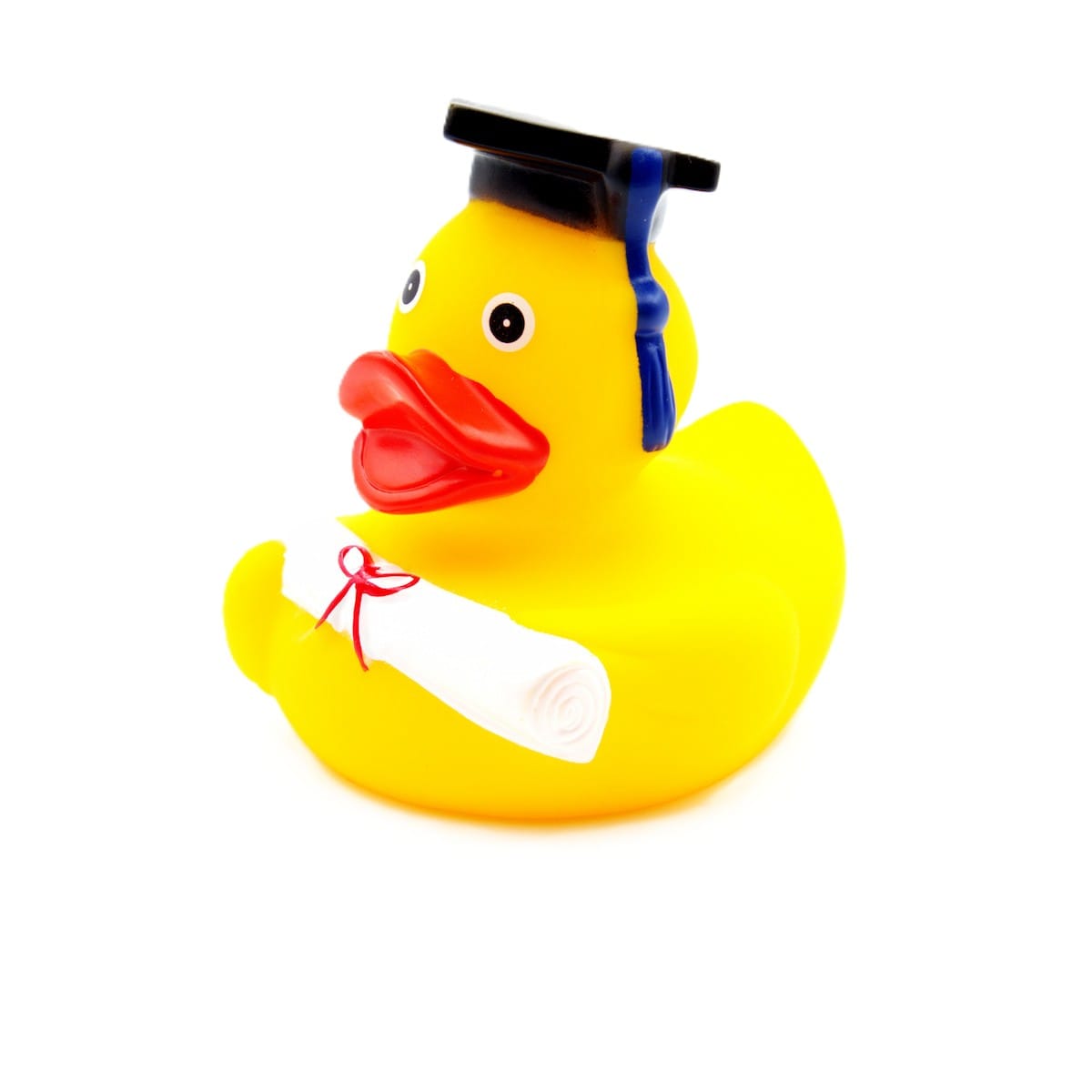 Examens badanka med studentmössa snett framifrån