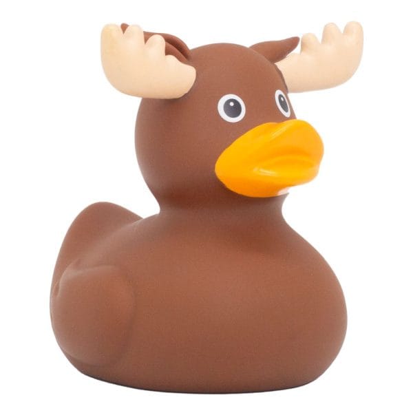 Älg badanka från sidan