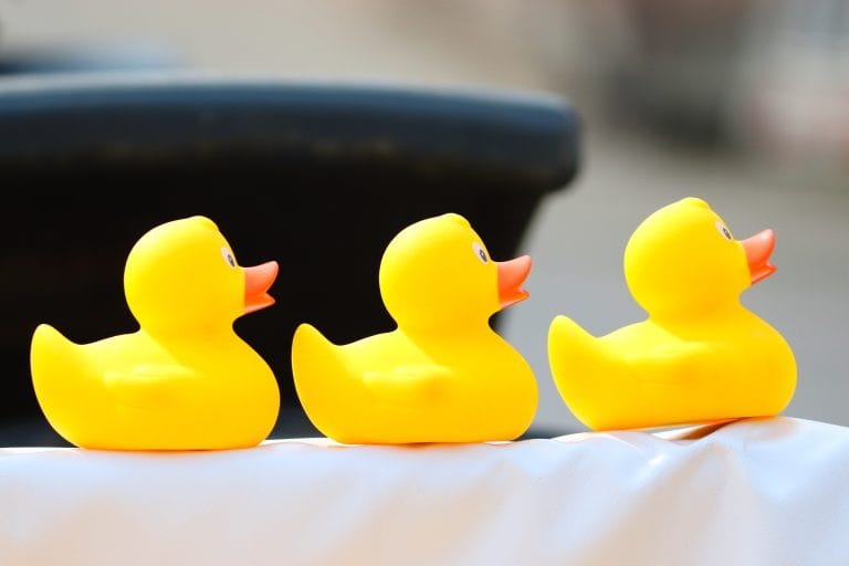 duck cruising ankor väntar på att bli utplacerade